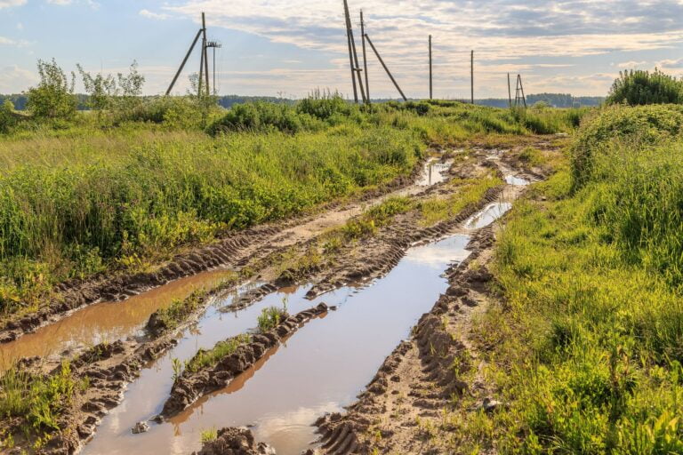 Muddy and buggy road with electric poles