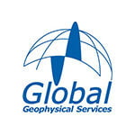 Global Geophysical Services Inc.